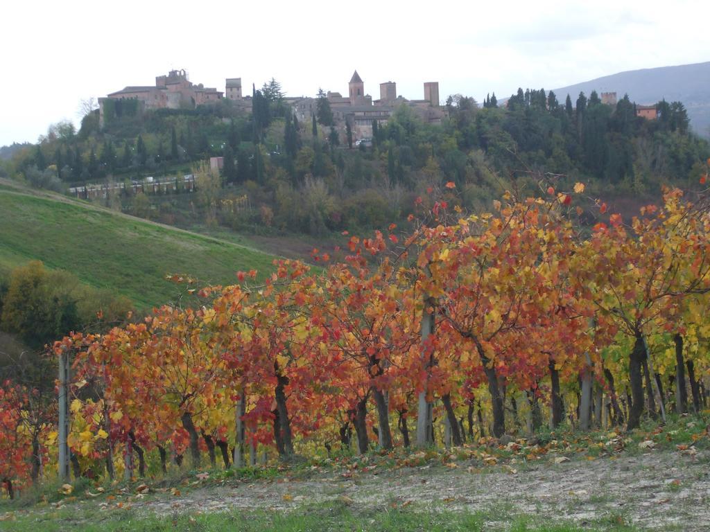 فيلا Agriturismo Il Torrione تْشيرتالدو المظهر الخارجي الصورة