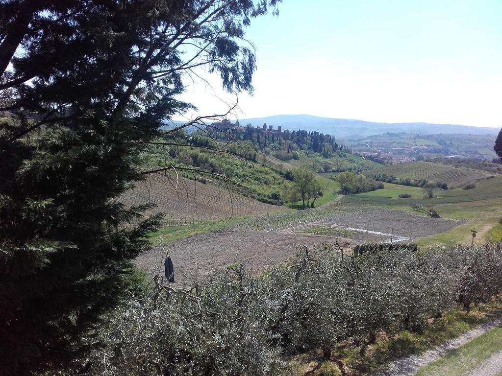 فيلا Agriturismo Il Torrione تْشيرتالدو المظهر الخارجي الصورة