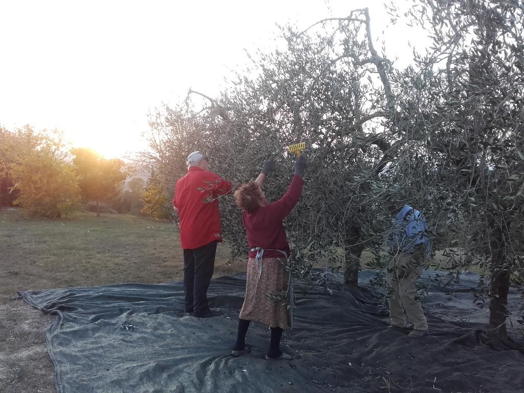 فيلا Agriturismo Il Torrione تْشيرتالدو المظهر الخارجي الصورة