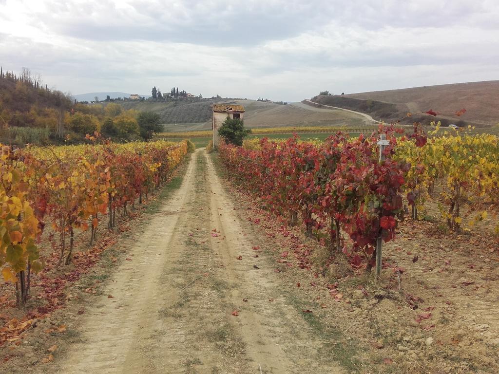 Agriturismo Il Torrione تْشيرتالدو المظهر الخارجي الصورة
