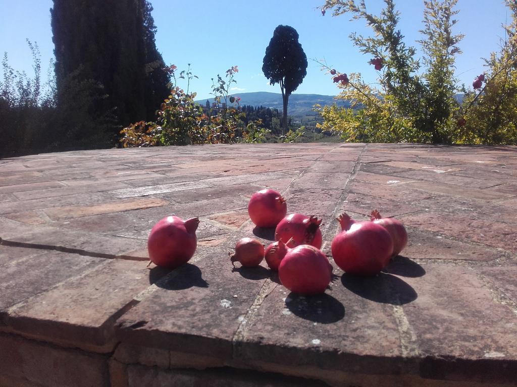 فيلا Agriturismo Il Torrione تْشيرتالدو المظهر الخارجي الصورة