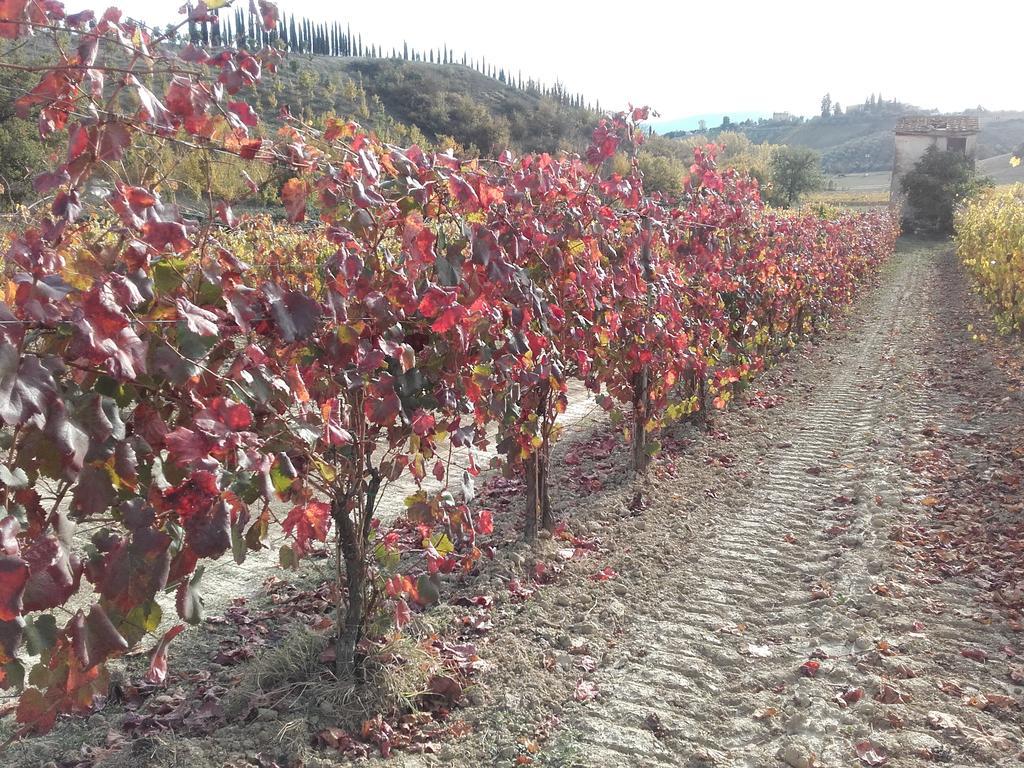 Agriturismo Il Torrione تْشيرتالدو المظهر الخارجي الصورة