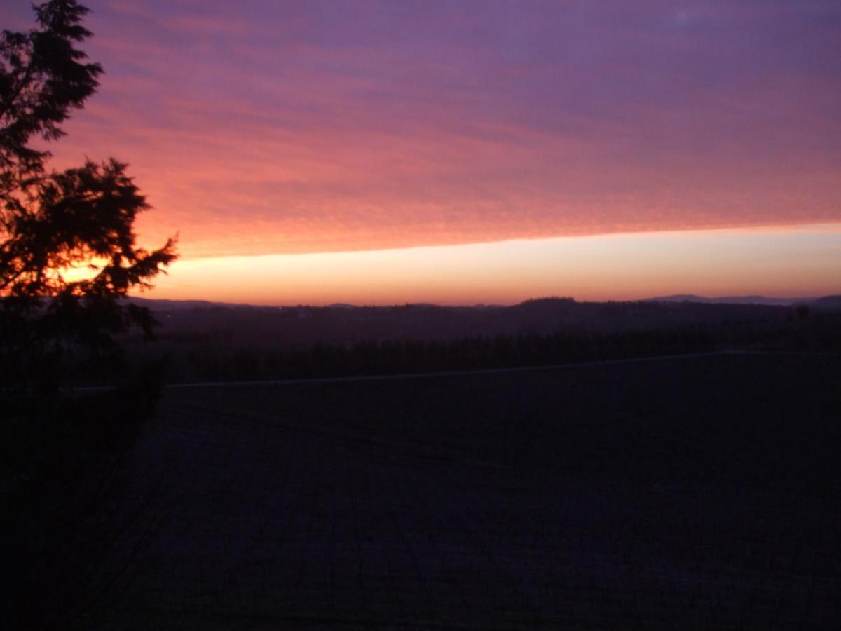 Agriturismo Il Torrione تْشيرتالدو الغرفة الصورة